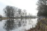 Stille an einem Seitenarm der Oder