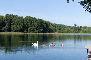 Langer See