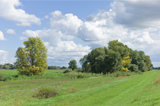 An der Oder