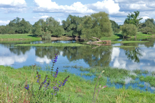 An der Oder