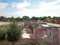 N'Dangane