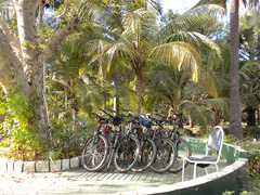 Kololi Beach